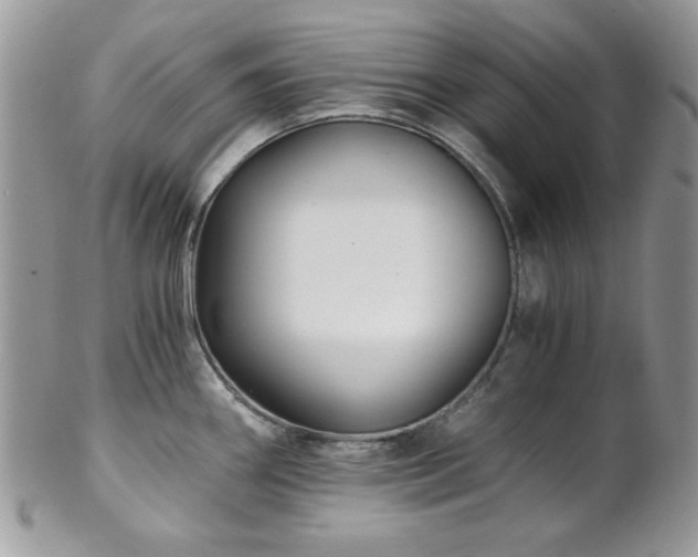 X0000102801290200808181152