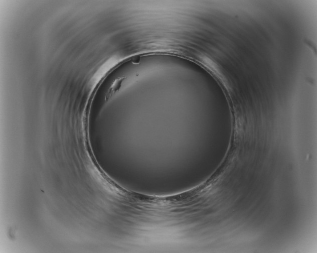 X0000102801291200808181152