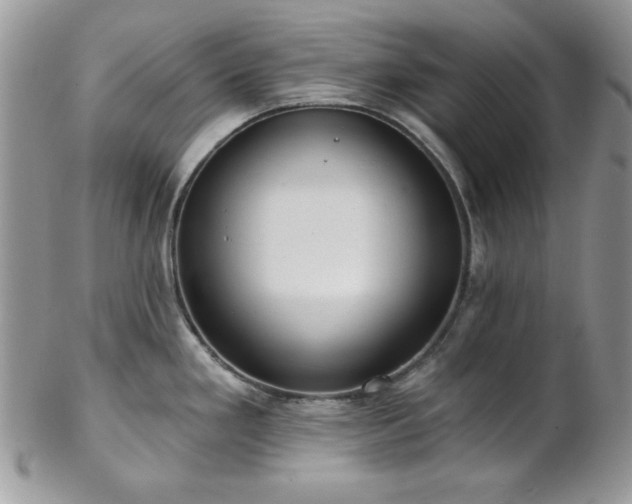 X0000102801293200808181152