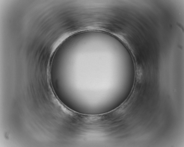 X0000102801294200808181152