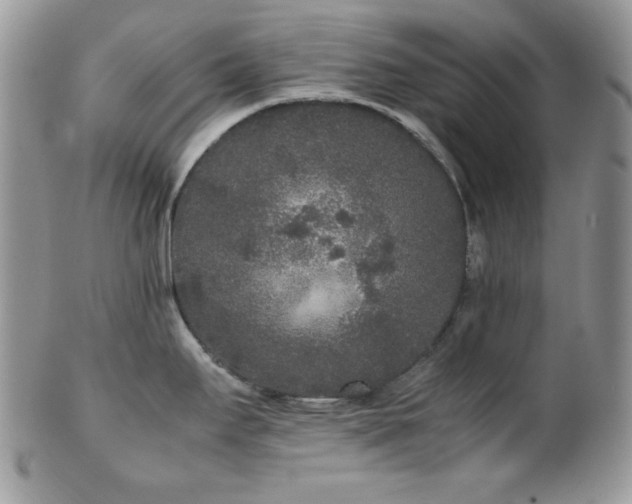 X0000102801295200808181152