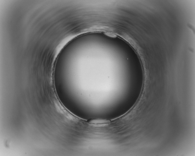 X0000102801296200808181152