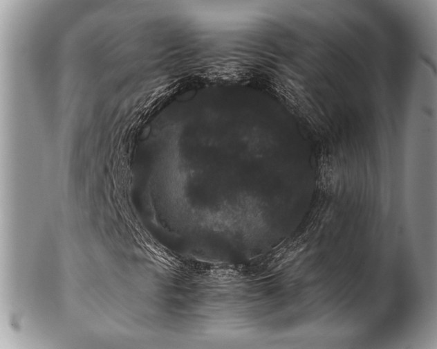 X0000102801297200808181152