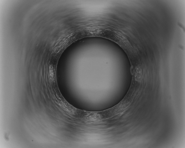 X0000102801298200808181152