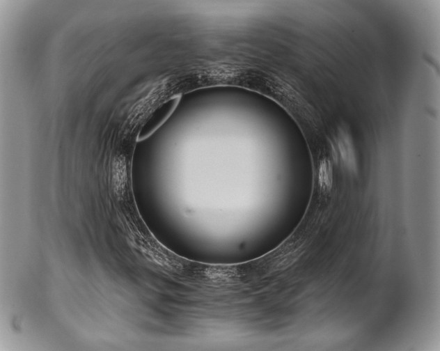 X0000102801299200808181152