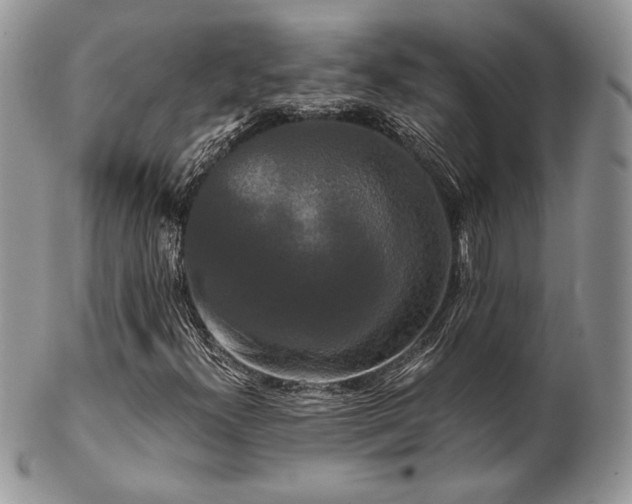 X0000102801300200808181152