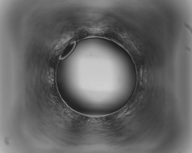 X0000102801301200808181152