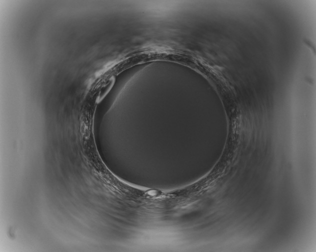 X0000102801303200808181152