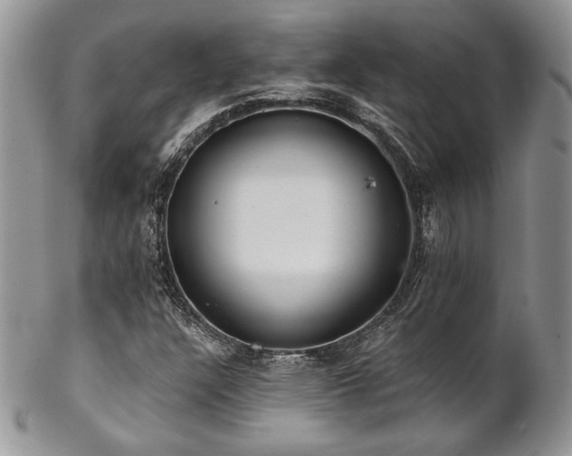 X0000102801304200808181152