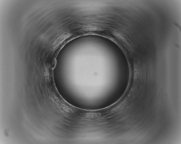 X0000102801305200808181152