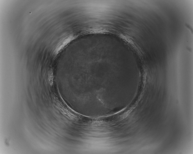X0000102801306200808181152