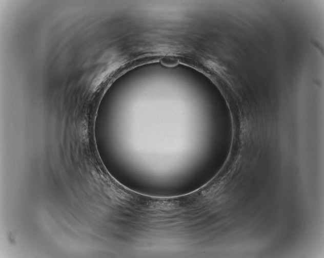 X0000102801307200808181152