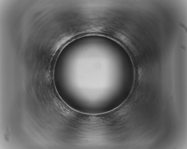 X0000102801308200808181152