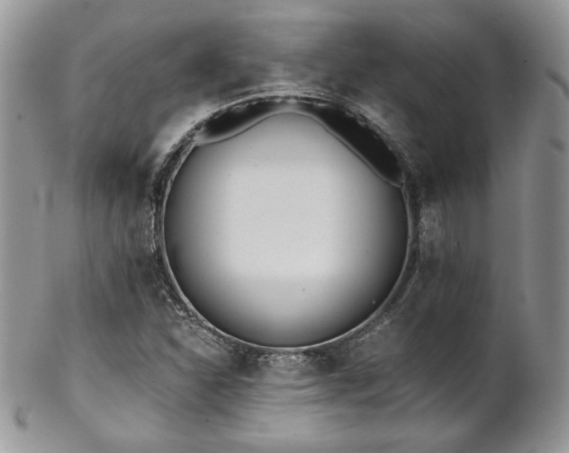 X0000102801310200808181152