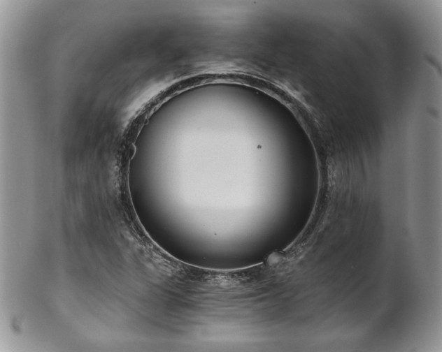 X0000102801311200808181152