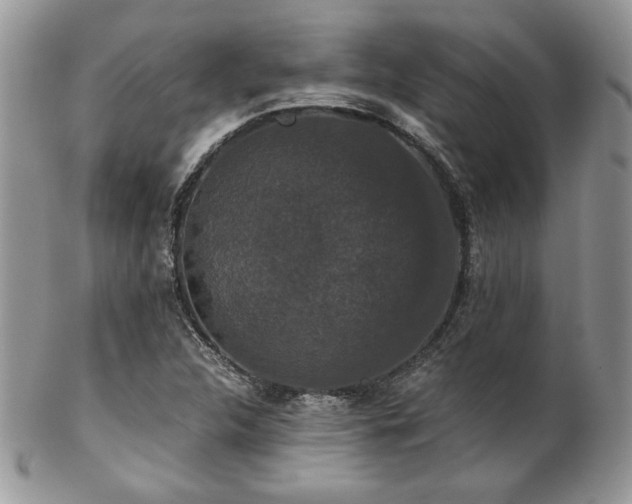 X0000102801312200808181152