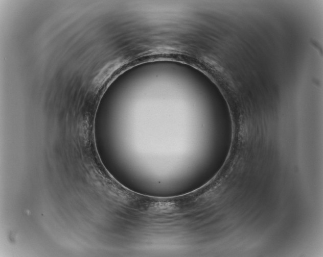 X0000102801313200808181152