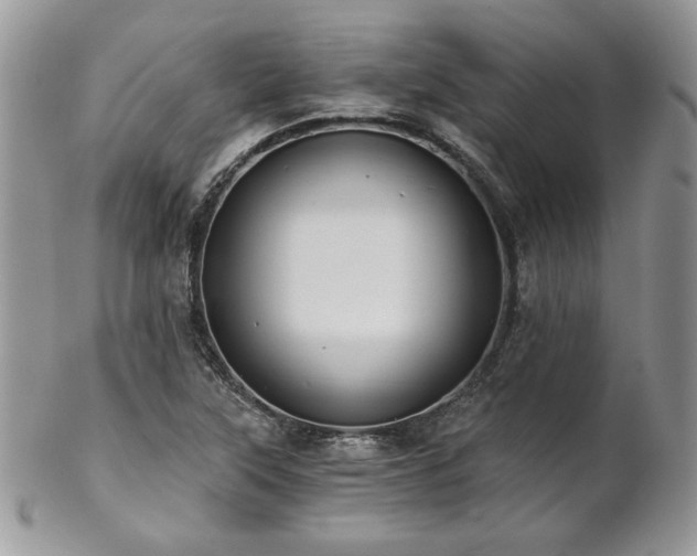X0000102801315200808181152