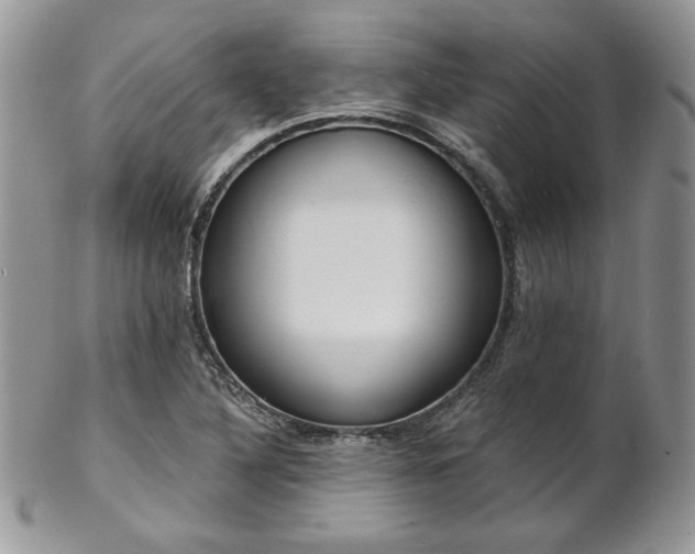 X0000102801316200808181152