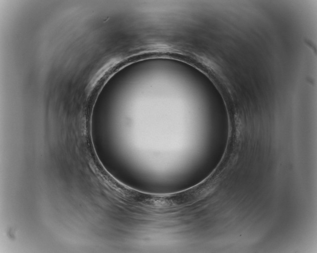 X0000102801318200808181152