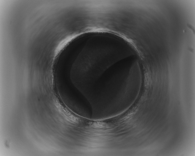 X0000102801319200808181152