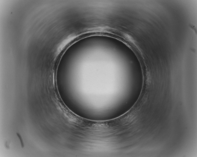 X0000102801320200808181152