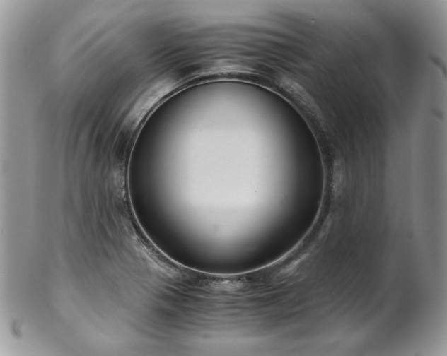 X0000102801321200808181152