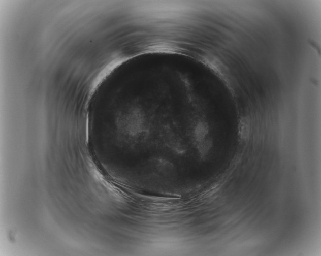 X0000102801323200808181152