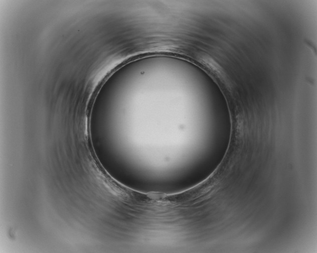 X0000102801324200808181152
