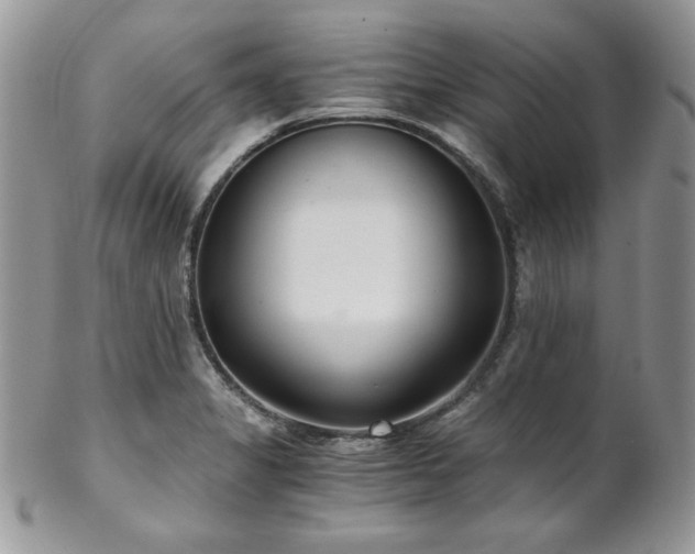 X0000102801325200808181152