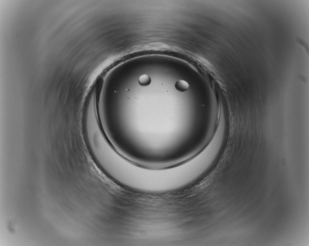 X0000102801326200808181152