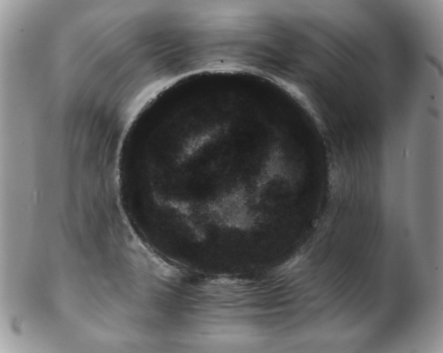 X0000102801327200808181152