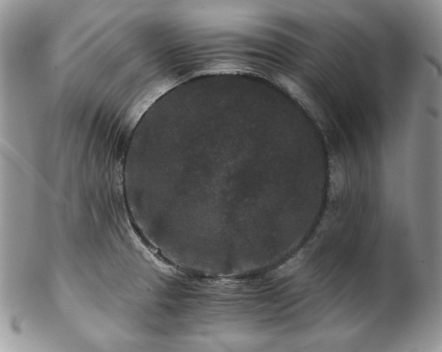 X0000102801329200808181152