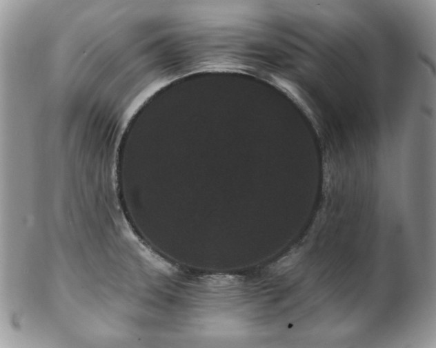 X0000102801331200808181152