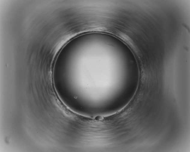 X0000102801332200808181152