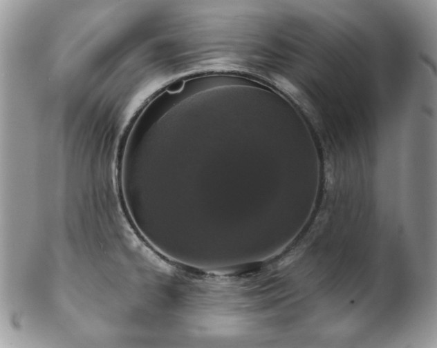 X0000102801334200808181152