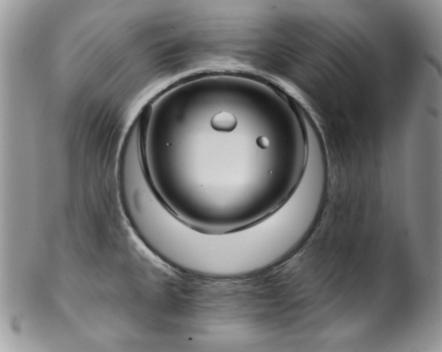 X0000102801335200808181152