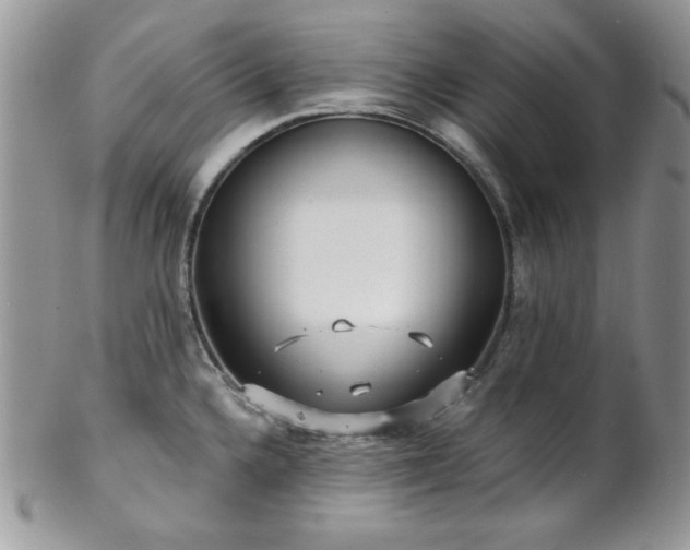 X0000102801336200808181152