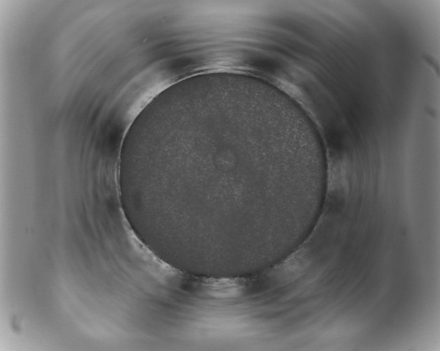 X0000102801338200808181152