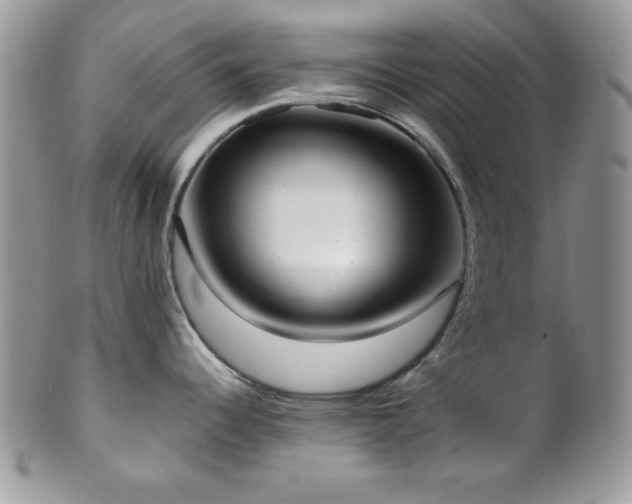X0000102801344200808181152