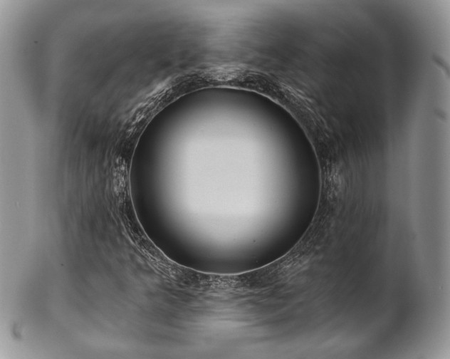 X0000102801349200808181152