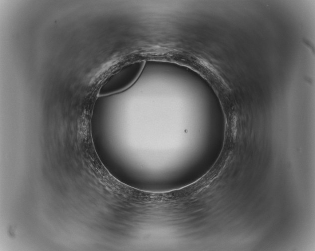 X0000102801350200808181152