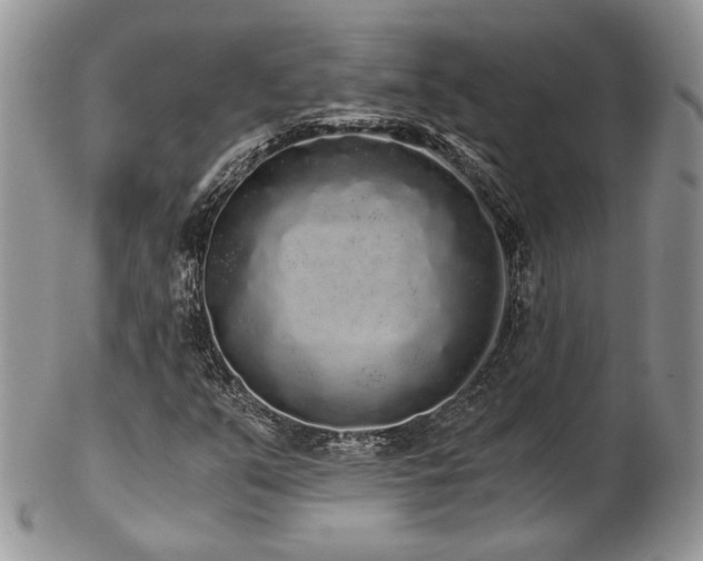 X0000102801351200808181152