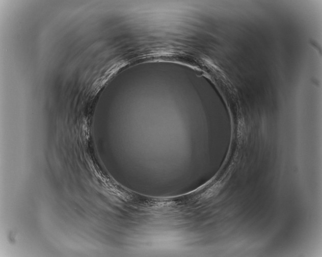 X0000102801353200808181152