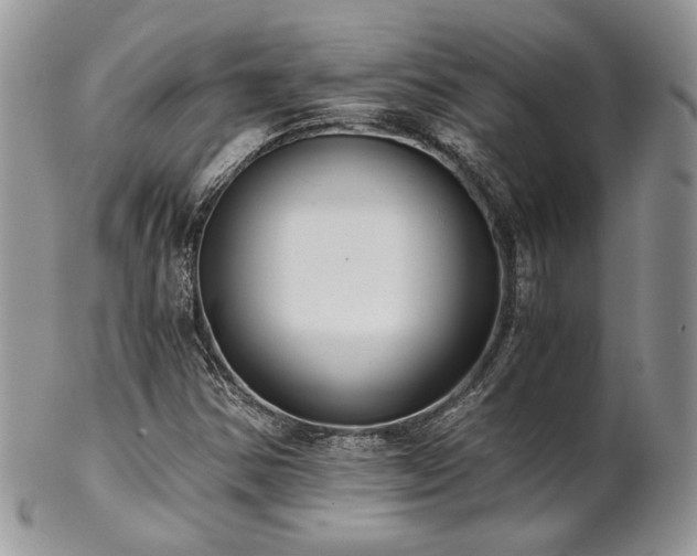 X0000102801354200808181152
