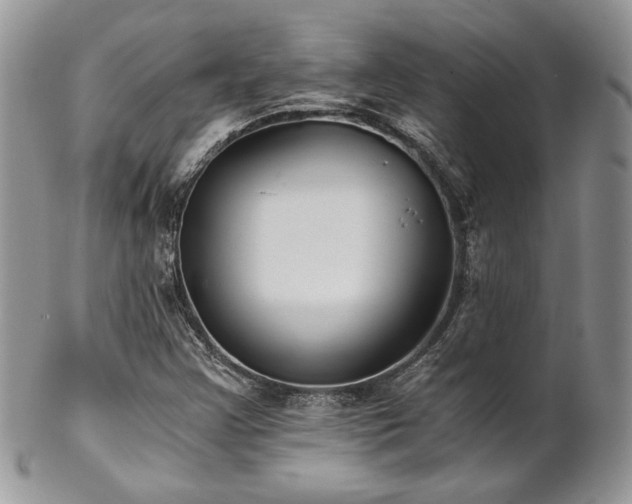 X0000102801355200808181151