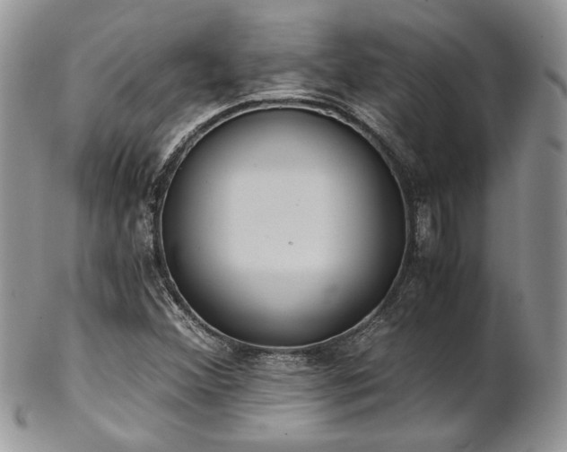 X0000102801356200808181151