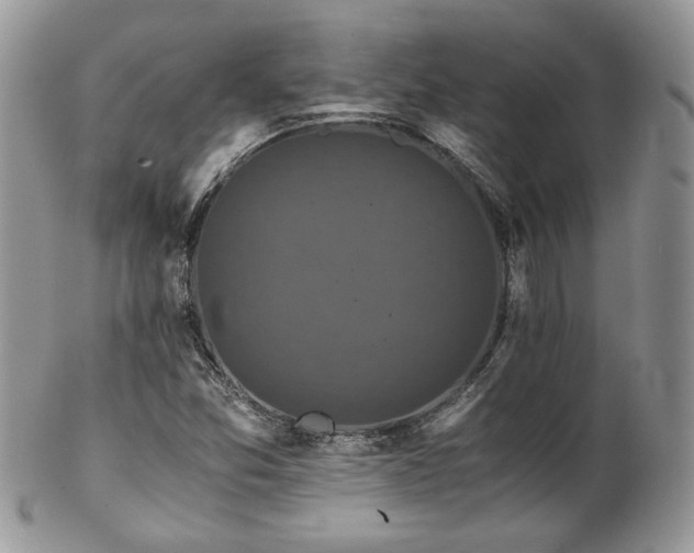 X0000102801357200808181151