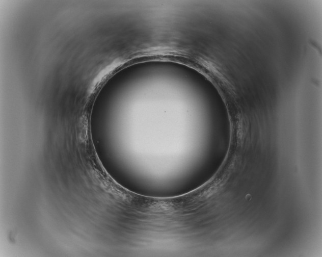 X0000102801358200808181151