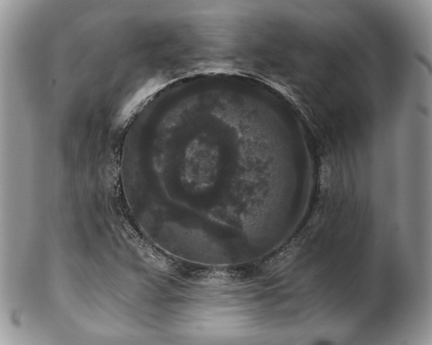 X0000102801359200808181151
